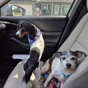 Meet your Posher, Cassandra